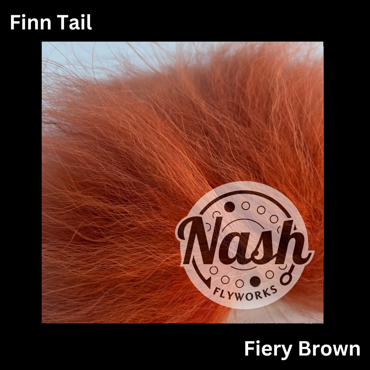 Finn Tail