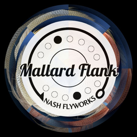Mallard Flank