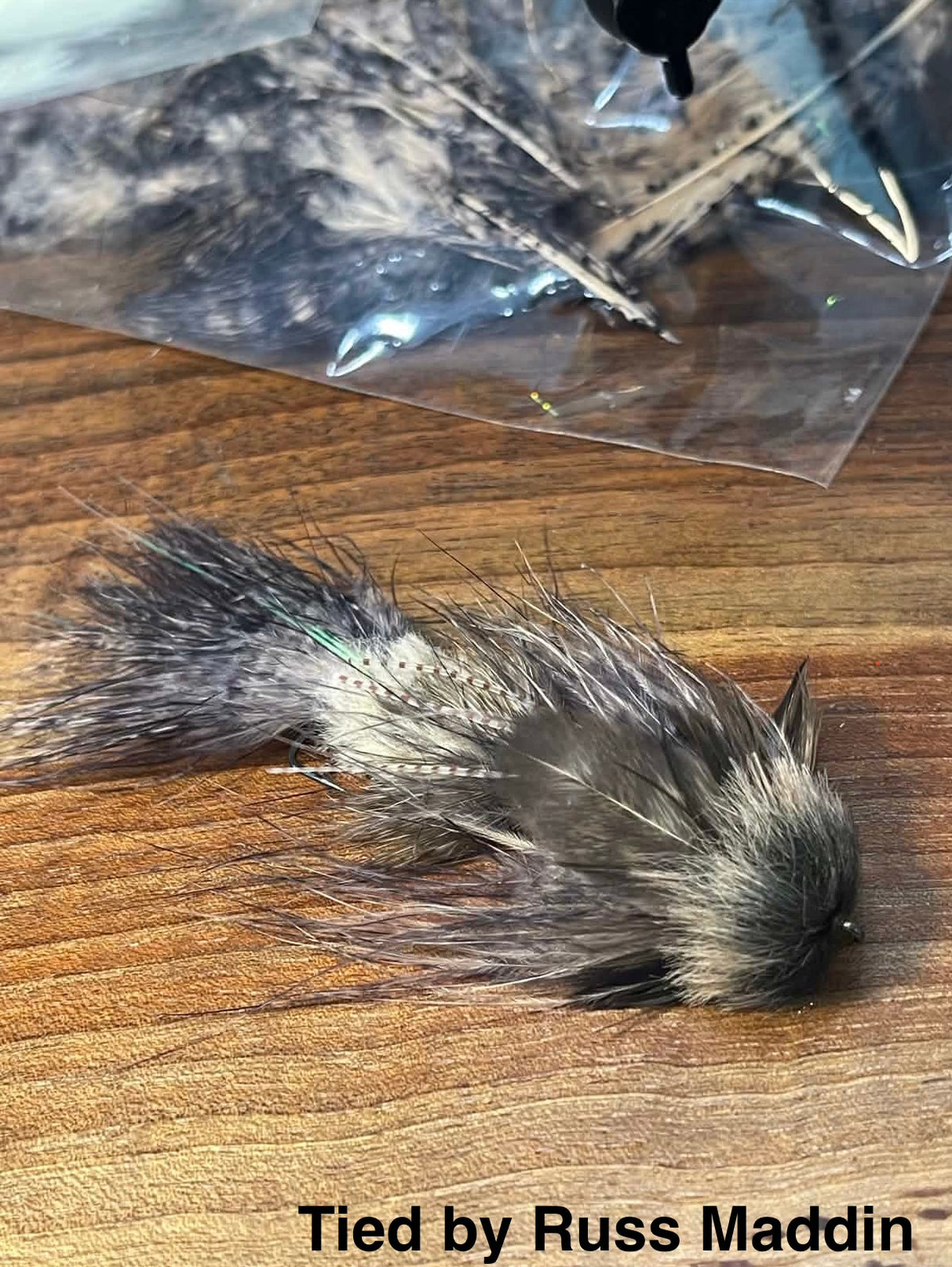 Speckled Marabou