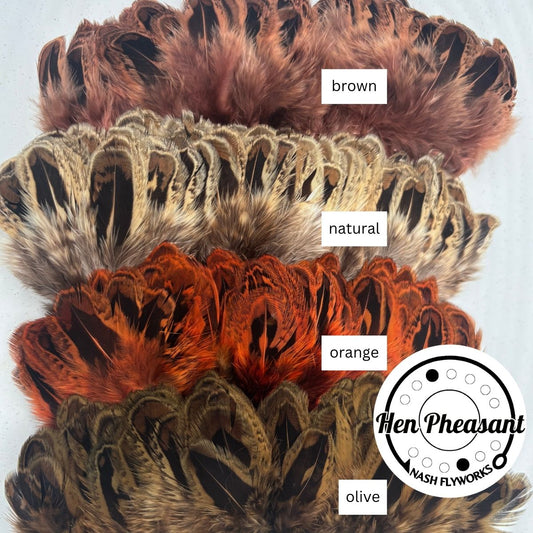 Hen Pheasant