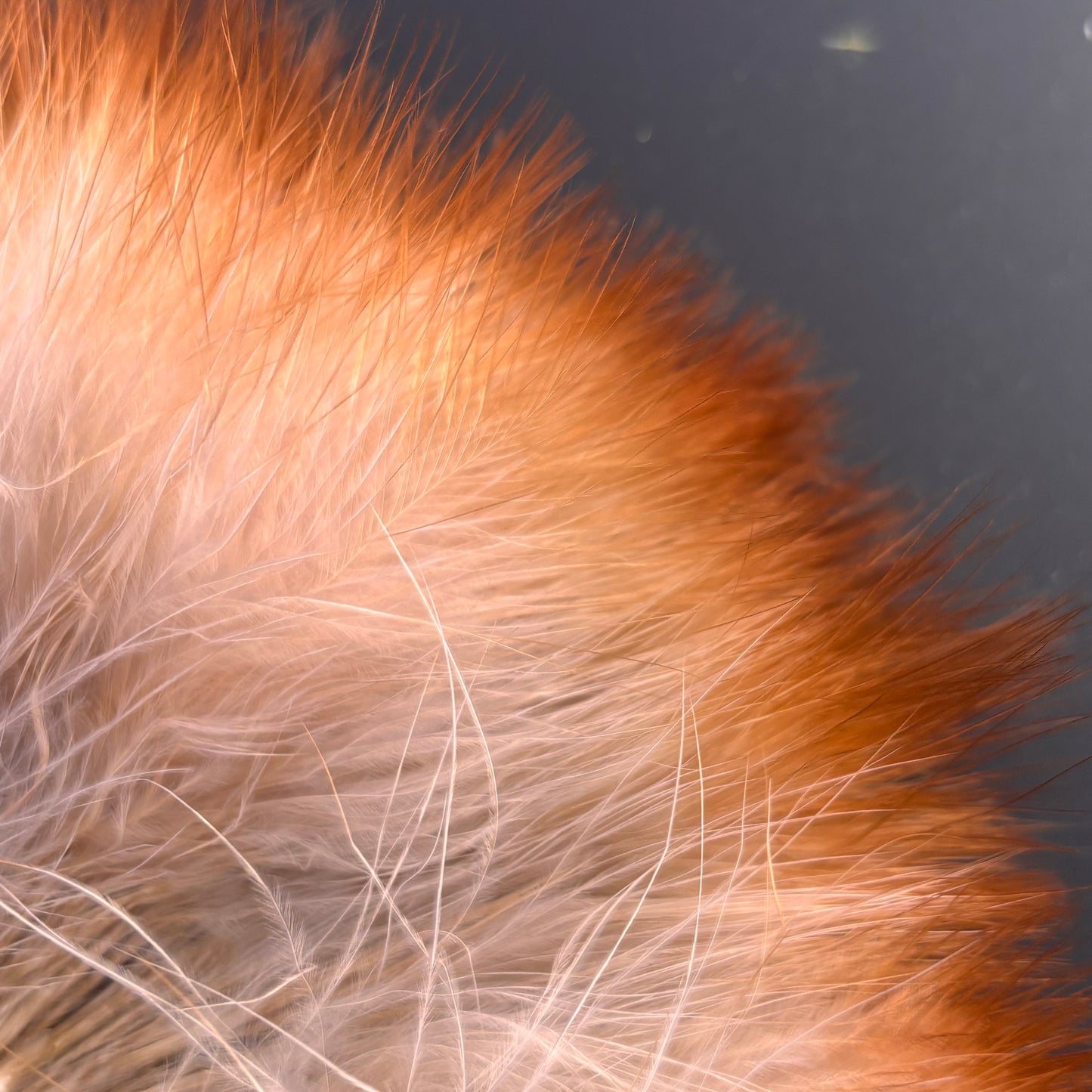 Handpaint Marabou