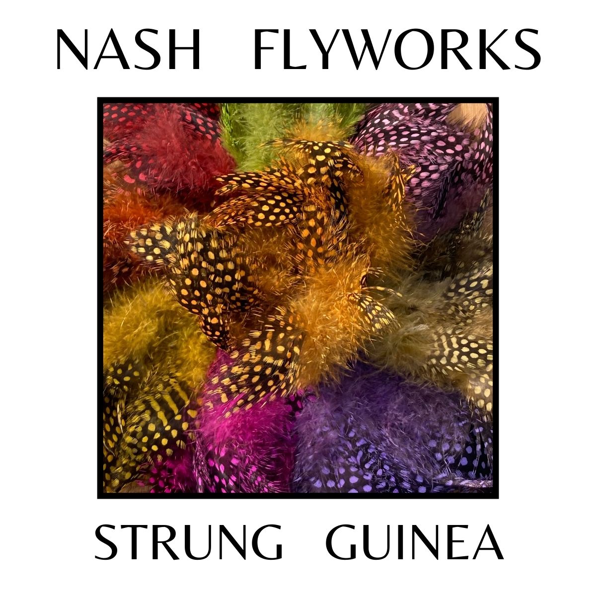 Guinea, Strung