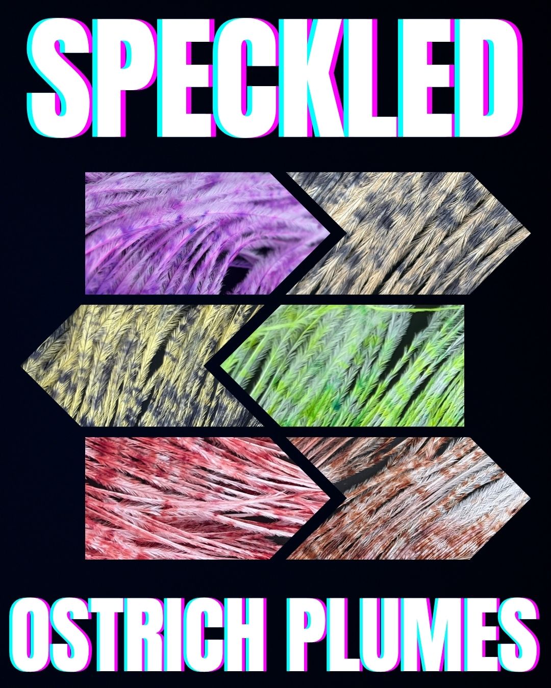 Speckled Ostrich Plume