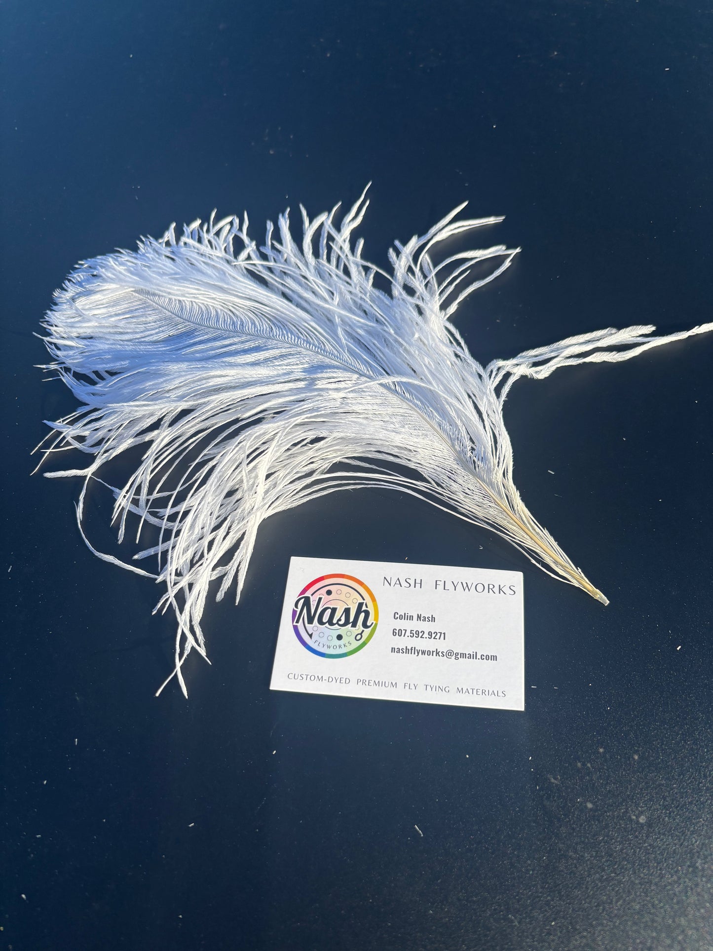 BQ Ostrich Plumes