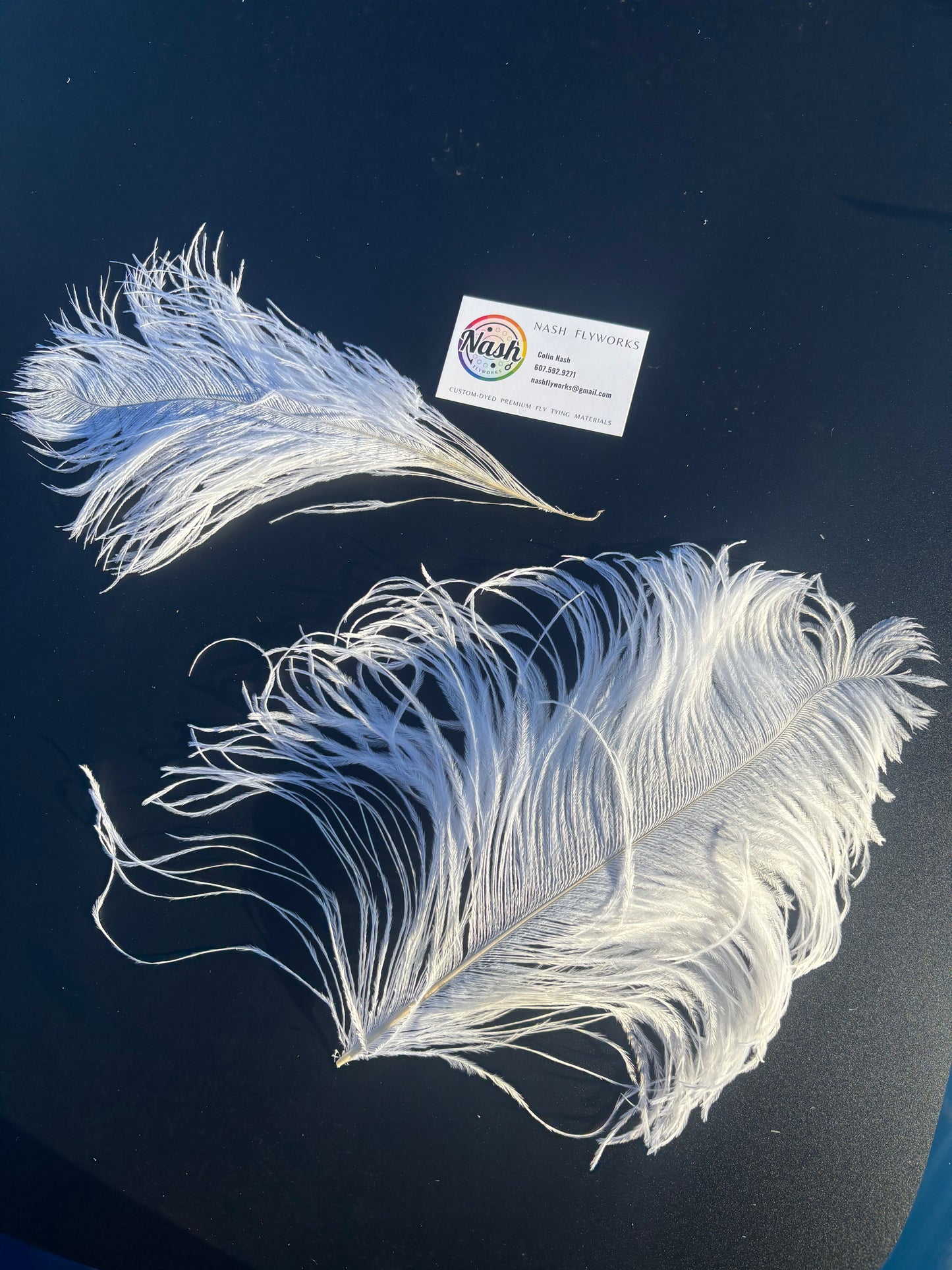 BQ Ostrich Plumes