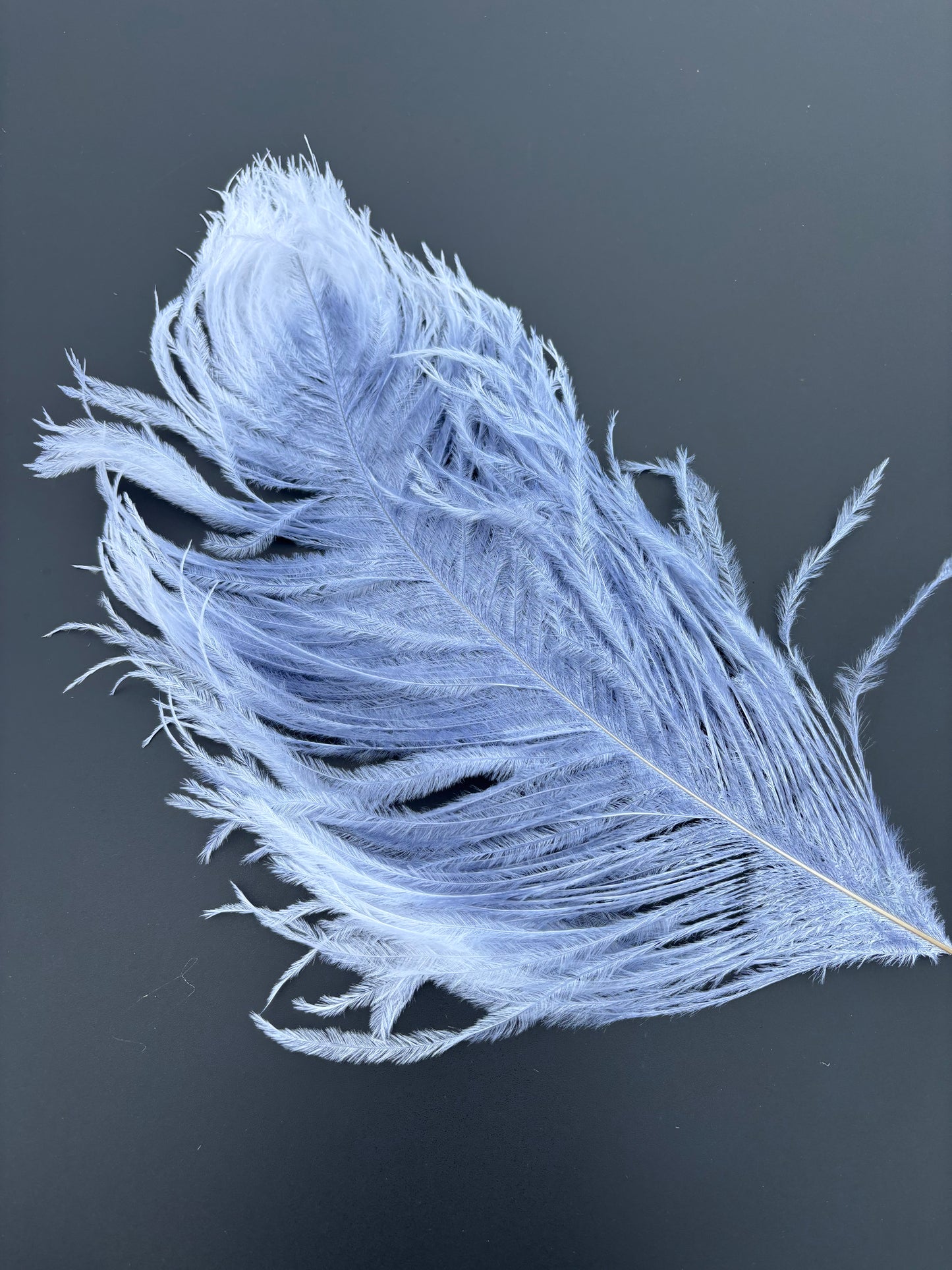 Handpaint Ostrich Plume