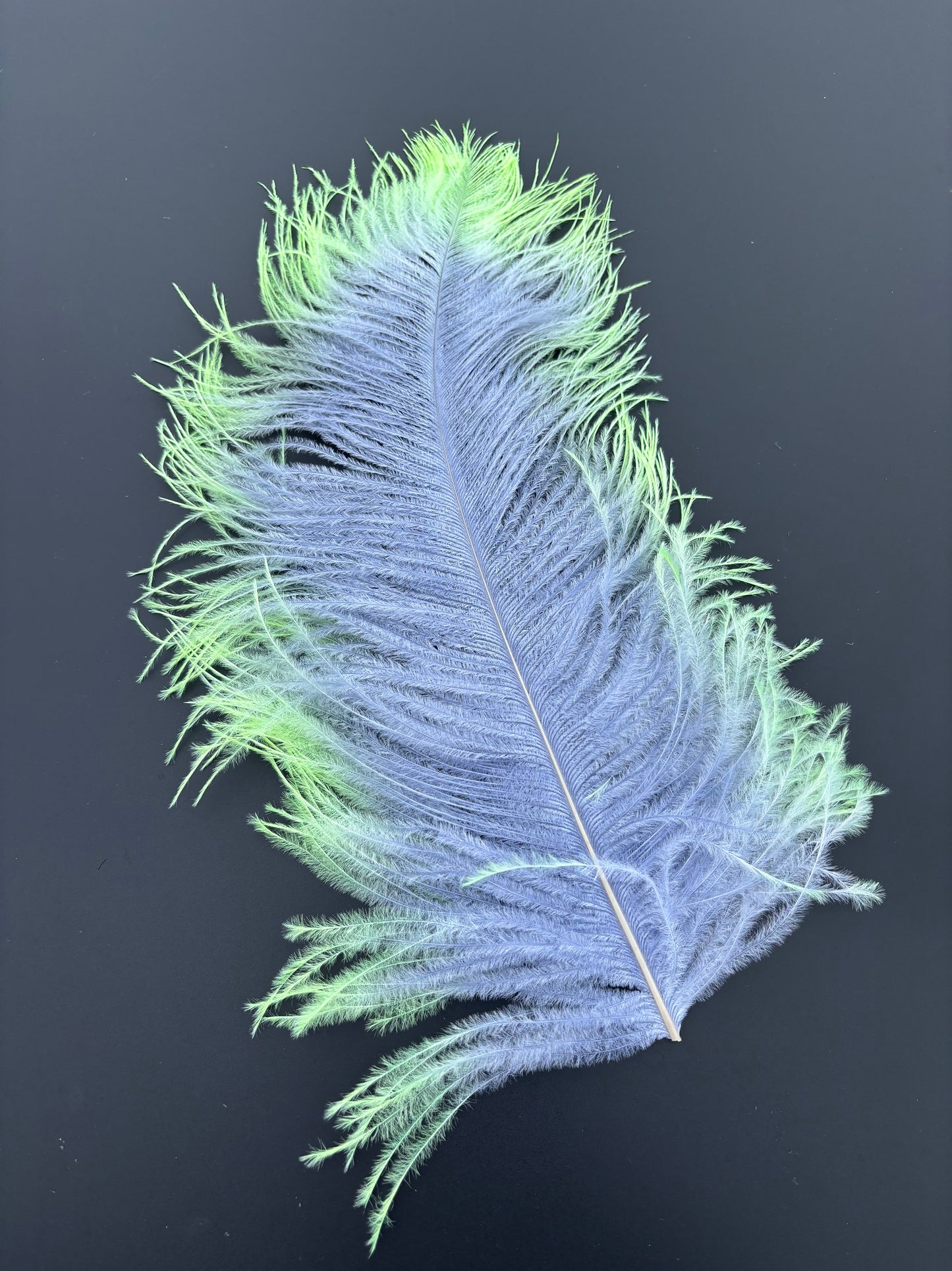 Handpaint Ostrich Plume