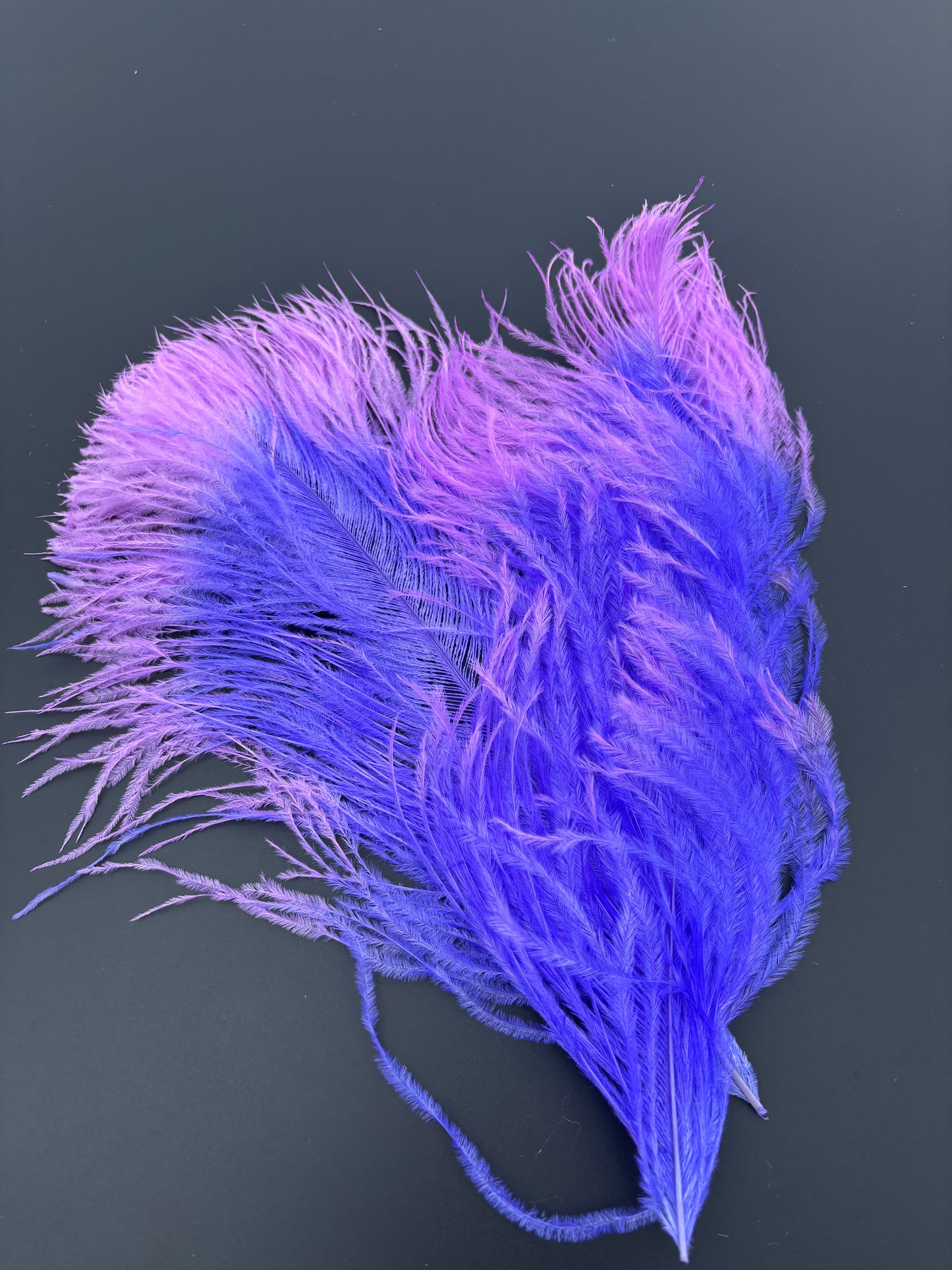 Handpaint Ostrich Plume