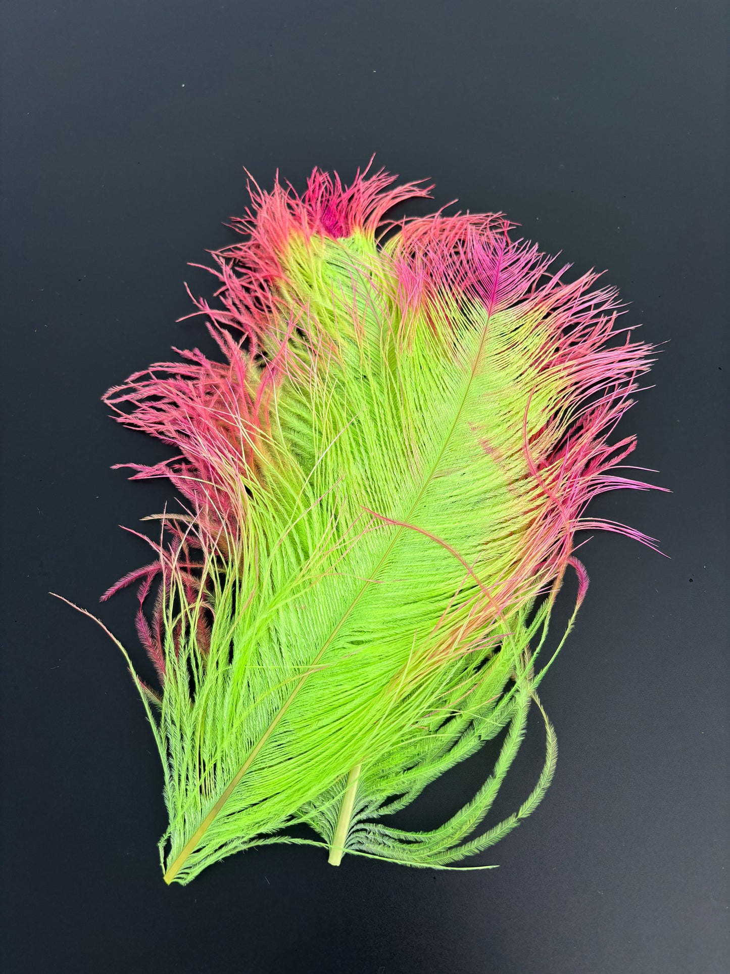 Handpaint Ostrich Plume