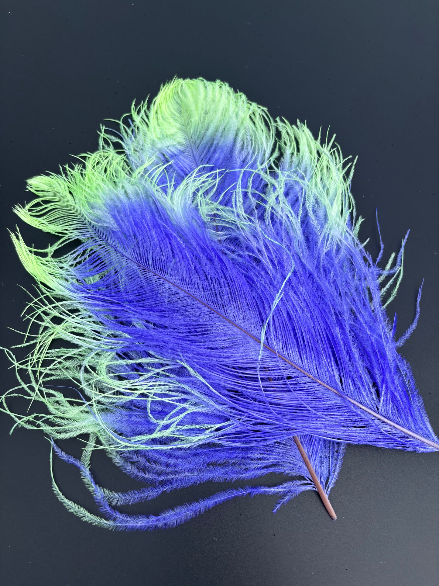 Handpaint Ostrich Plume