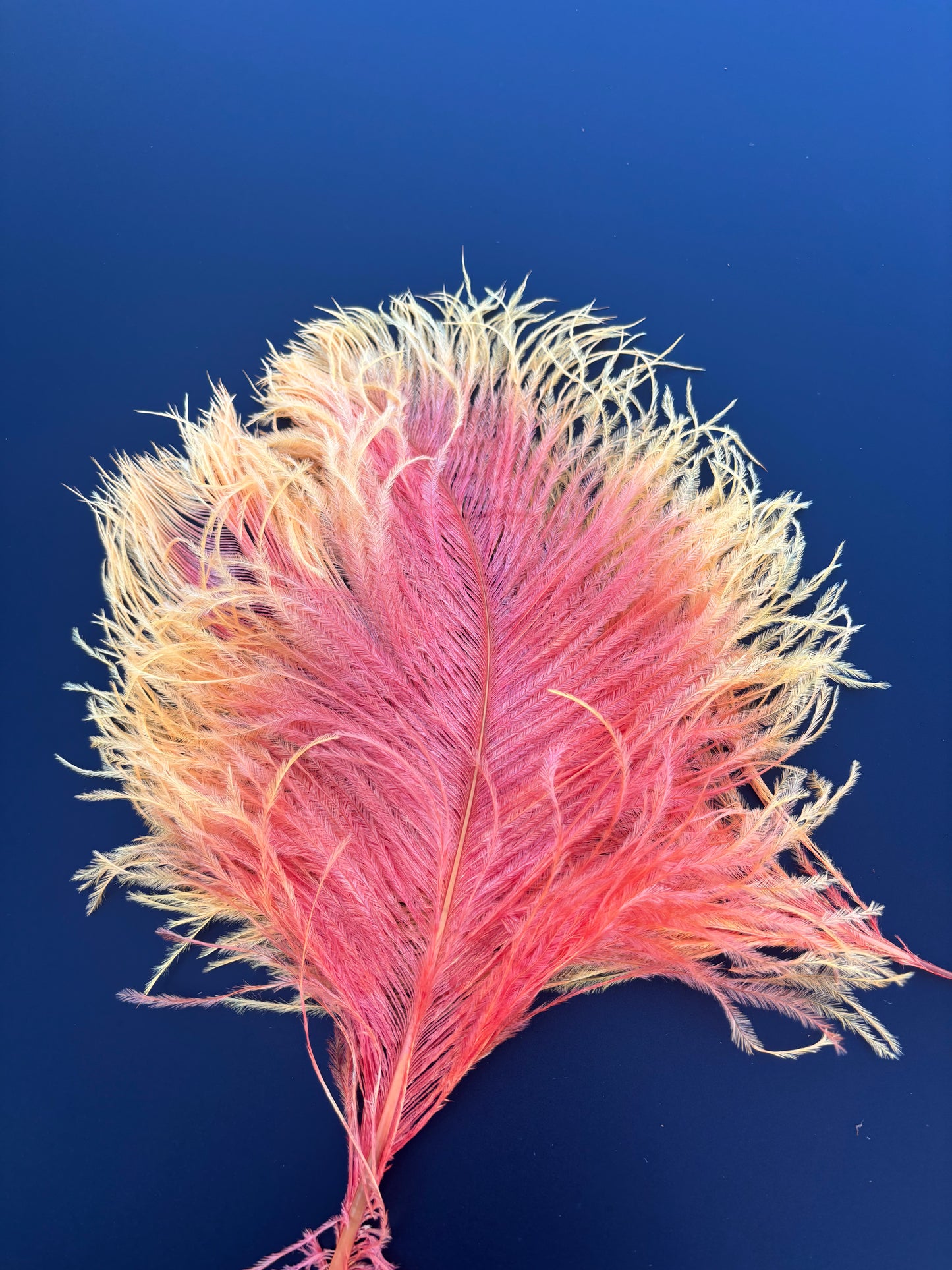 Handpaint Ostrich Plume
