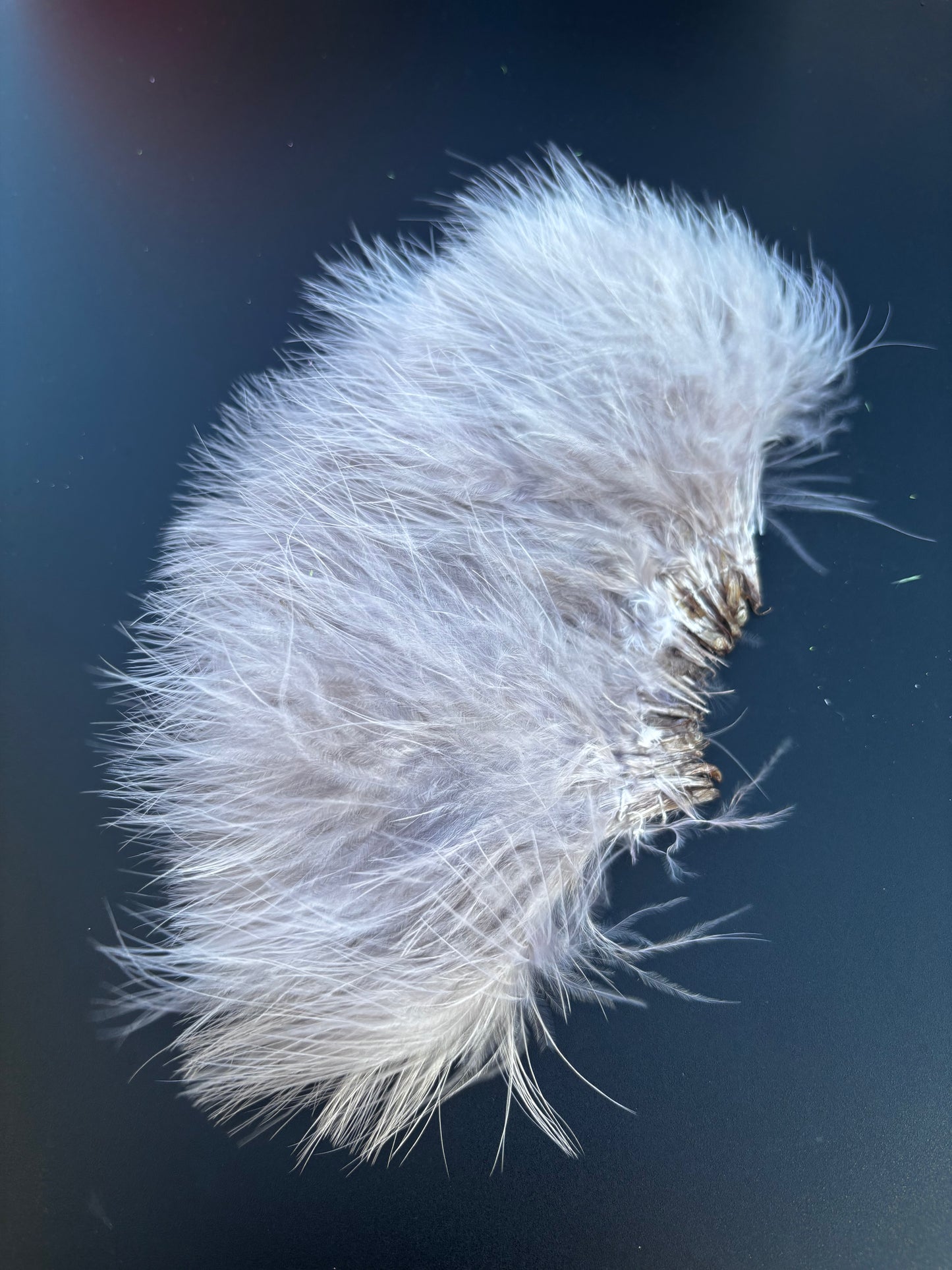 Blood Quill Marabou, Solid
