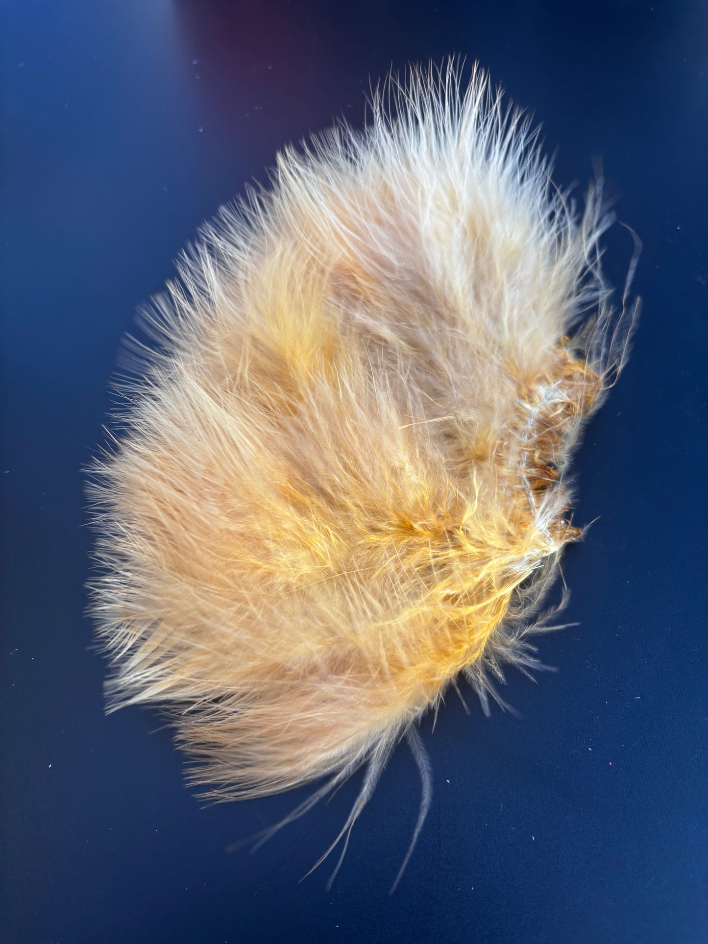 Blood Quill Marabou, Solid