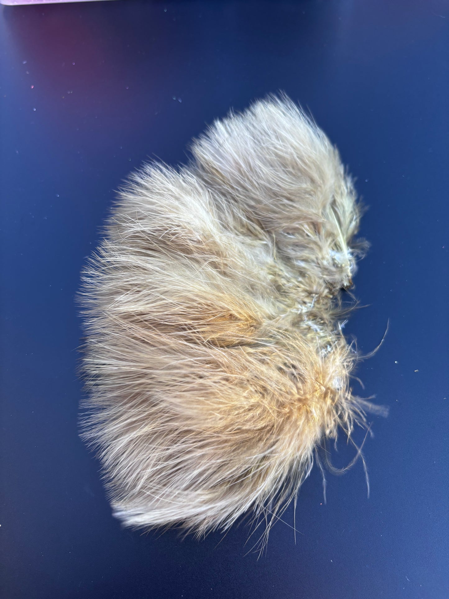 Blood Quill Marabou, Solid