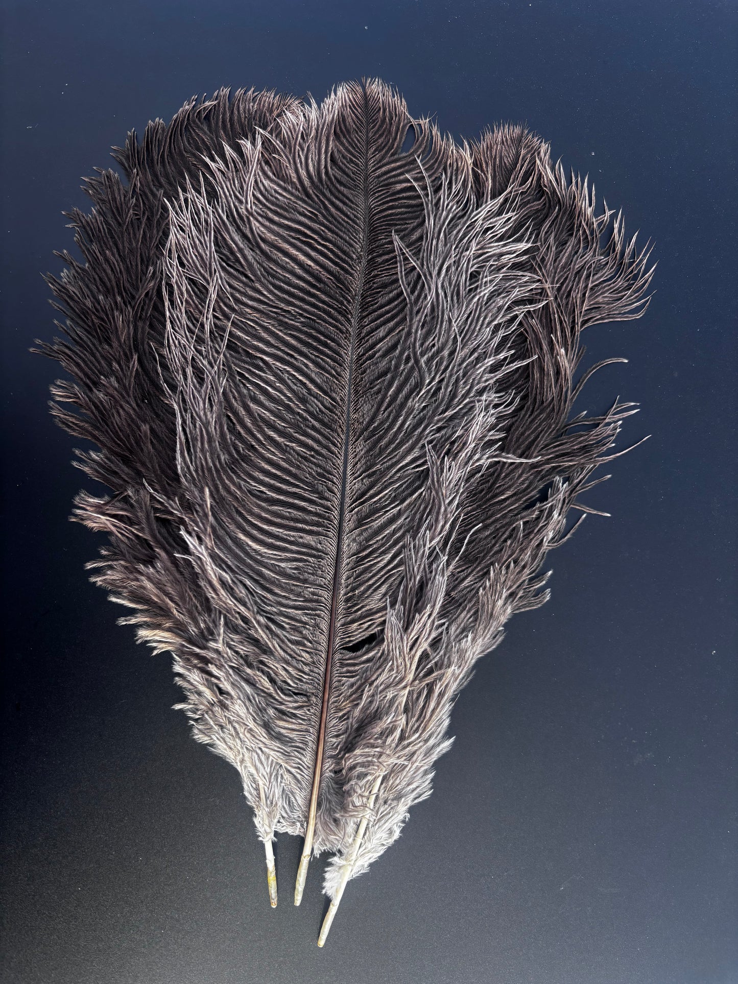 Natural Ostrich Drabs