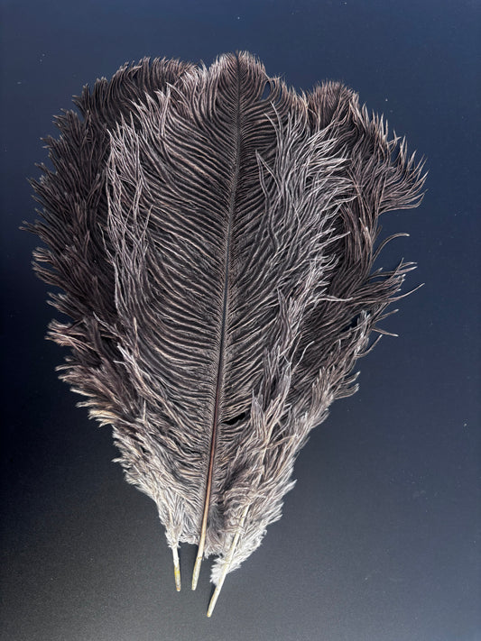 Natural Ostrich Drabs