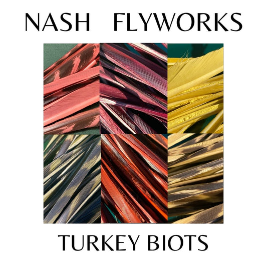 Turkey Biots
